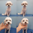 괴정4동-10 이미지