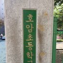 호암초교 이미지