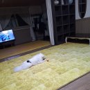 설화산펜션 이미지