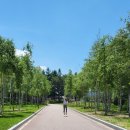 오대민박 이미지