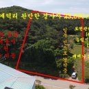 매물번호: 1000-139,성연면 예덕리 완만한 경사지 임야23,000㎡(6,957평)3.3㎡당 6만원 이미지