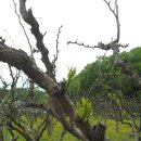 소남농장 이미지