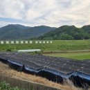 월운리 마을회관 이미지