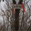 가창리 부도 이미지