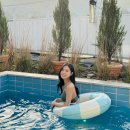 스테이오안풀빌라 네이버블로그