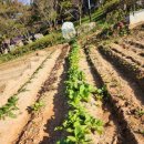 진요양병원 이미지