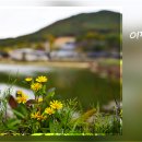 물결치는 달빛 ( 이미지