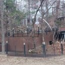 화도초교 이미지