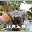 매일농장 이미지