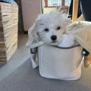 멈무는하루 이미지