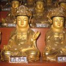 (주) 하늘펫 | 수목장 가격 알아보기