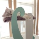 러블리하개 이미지