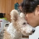 내사랑 강아지 이미지
