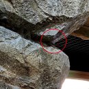 황금박쥐생태관 옆 이미지