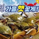 서해할인마트 - 시흥시 비둘기공원7길 27 | 서해할인마트