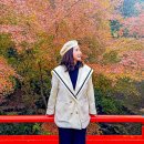 신사골프스튜디오 | 일본 오사카 패키지 여행 교토 + 유니버셜 스튜디오 재팬 3박4일 일정