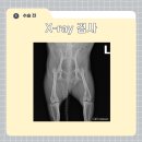 조양래 동물의료센터 이미지