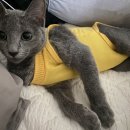 모두애동물병원 이미지