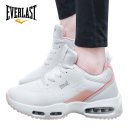 레이시스 이미지