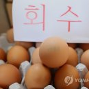 의성계란 이미지