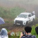 스토리스포츠