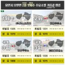 모과나무충전소 네이버블로그