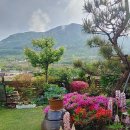 🌿 밀양의 숨은 보석, 에덴조경식물원 탐방하기!