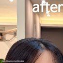 아모르미용실 | 양재역미용실 아모르헤어 뿌리펌, 서초동미용실 뿌리볼륨펌 추천
