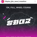 [2022.11.6] lifeplus jtbc 서울 마라톤 이미지