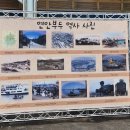 거창상회 등(금양수산) | 인천 종합어시장 재래시장 2023 연안부두&amp;수산물꽃게축제 오늘까지 생생 후기