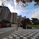 소노 | 홍천 비발디 파크 (소노 펠리체) 후기 여행