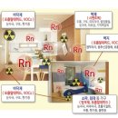 새라돈가스 이미지