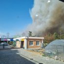 경포대초등학교 이미지