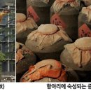 (주)황주 이미지