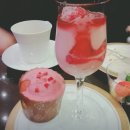 종로-종로-종로-종-321 | 역대급 딸기 뷔페 가격 변천사! 2016년 2.9만원 vs 2026년 8~10만원대 총정리 (호텔별 비교)