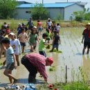 백원초교 이미지