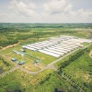 그린피드(greenfeed) 이미지