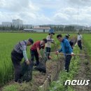 왕성축산 이미지