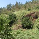 병근 농장 이미지