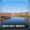 시화호 자전거연결도로(데크) | 안산 대부도 갈만한곳 대부바다향기 테마파크