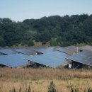 태양 행정사사무소 이미지