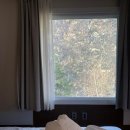 스테이인터뷰영동 이미지