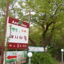 애니펜션