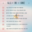더 베럴 핏 | 월성동헬스 더베럴핏 가격 후기
