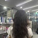 살롱 드 유진 | 성수역 미용실 살롱드라피네 히피펌 후기 유진 디자이너 추천