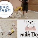 강동-천호-4225 이미지