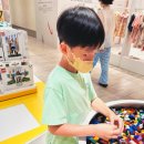 레고 | 초등아이 레고후기/집중력 창의력 놀이로 최고!