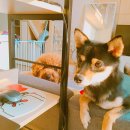 주덕컴퓨터 이미지