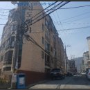 회원동236 이미지