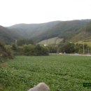 농원민박 이미지